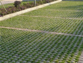 永川植草砖